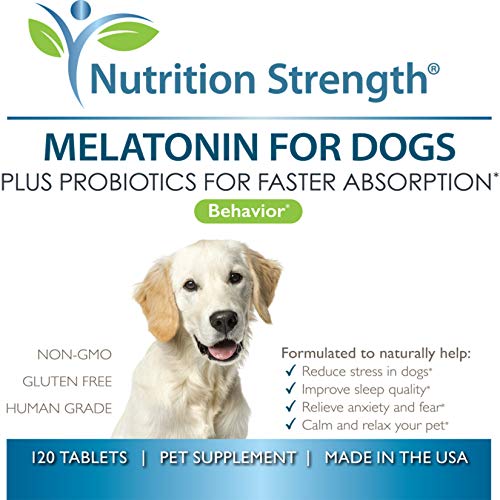 Nutrition Strength Melatonin For Dogs Help Improve Sleep Quality Anti Anxiety Support Stress Separation Aid Promote Relaxation Help Dogs Feel Calm Comfortable 120 Chewable Tablets Pricepulse