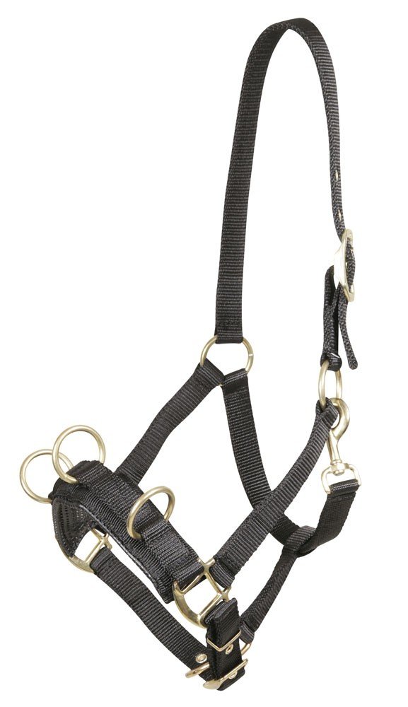 PFIFF Cavesson with Gold Fittings, Black Cob