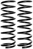 ACDelco 45H2125 Professional Rear Coil Spring Set