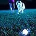 ChuckIt! Firefly LED Ball Dog Toy, Medium