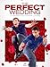 The Perfect Wedding