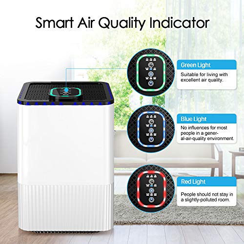 Nobebird Air Purifier with 4 in 1 True HEPA Filter and Ionizer, Home Air Cleaner with Air Quality Indicator and Timer, Odor Allergies Eliminator for Dust, Pollen, Smoke, Pet Dander and More