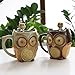 SQOWL 3D Coffee Mug Cute Set of 2 Owl Ceramic Coffee Mugs with spoons Office Tea Cups for Women Men 12 oz Cyan and Brown
