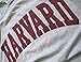 Harvard University Long Sleeve Arched Block Grey T-Shirt XL