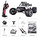 TOZO C2035 RC Cars High Speed 30MPH 1/12 Scale RTR Remote Control Brushed Monster Truck Off Road Car Big Foot RC 2WD Electric Power Buggy W/2.4G Challenger