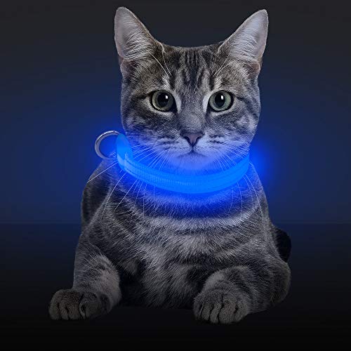 Vizbrite LED Cat Dog Collar, Nylon Pet Collar Night Safety Light UP Flashing Glow Necklace Collar for Small Breed, Puppy & Cat (XS, Blue) - Thumbnail 6