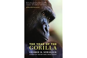 The Year of the Gorilla