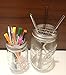 Shiny Metal Flower Frog Lid Insert for Transform Mason, Ball, Canning Jars, 6-pack (Regular Mouth)
