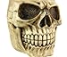 Private Label Creepy Human Skull Tankard Stein Drinking Vessel Goth