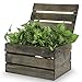 The Lucky Clover Trading Antique Wood Crate Storage Box with Swing Lid, 11