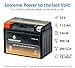 Chrome Battery YTZ14S Maintenance Free Replacement Battery for BMW, Honda, Suzuki, and Yamaha Motorcycles: 12 Volts, 11.2Ah, Nut and Bolt (T3) Terminal