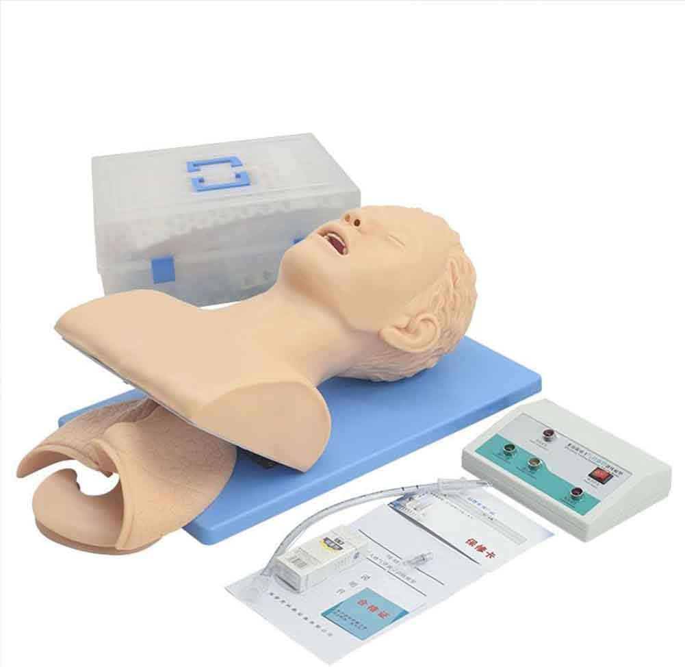 Human Anatomy Training Model Tracheal Intubation Model with Alarm Function, for