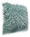 Chanasya Soft Shaggy Fuzzy Mangolian Faux Fur Cozy Elegant Chic Decorative Aqua Blue Throw Pillow Cover Pillow Sham- Turquoise Teal 2-Pack Throw Pillowcase 18x18 Inches (Pillow Insert Not Included)