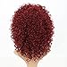 Afro Curly Wigs Wine Red Hair for Women's Fashion Hair Extensions Afro Curly Wig Kinky Curly Hairstyle Look Same with Human Hair Wigs 14 inch