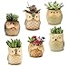 6pcs Owl Pot 2.5 Inch Ceramic Flowing Glaze Base Serial Set Succulent Plant  Cactus  Flower Pot Container Planter Small Bonsai Mini Pots With A Hole  Gife Idea