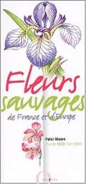 Fleurs sauvages