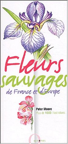 Fleurs sauvages