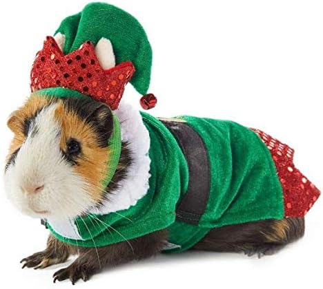 guinea pig outfits amazon