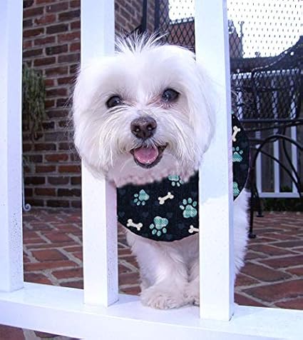 Puppy bumpers amazon Clearance