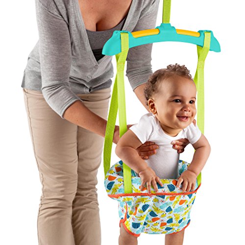 bright starts pondside pals door jumper