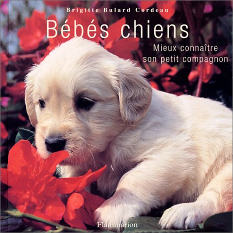 Amazon Fr Bebes Chiens Mieux Connaitre Son Petit Compagnon Bulard Cordeau Brigitte Livres
