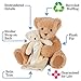 Vermont Teddy Bear and Blanket - Teddy Bears for Babies, 13 Inch
