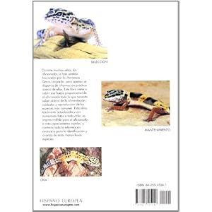 Gecos Leopardo / Leopard Gecko: Especies, Mantenimiento Y Cria (Manuales Del Terrario) (Spanish Edition)
