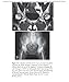 Ferri's Best Test: A Practical Guide to Clinical Laboratory Medicine and Diagnostic Imaging (Ferri's Medical Solutions)