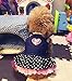 Kailian Dog Cowboy Dress Lovely Cute Dog Doggie Puppy Summer Clothes Dog Denim Skirt Medium