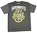Harry Potter Hogwarts Distressed Boys Youth T-Shirt Licensed (Medium) Gray