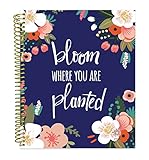 bloom daily planners 2018 Calendar Year Soft Cover Vision Planner - Monthly/Weekly Datebook Agenda Organizer- January 2018 - December 2018 - (7.5