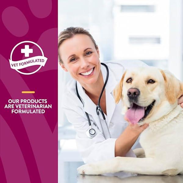 NATURVET JOINT HEALTH LEVEL 3 PET SUPPLEMENT FOR CATS & DOGS – HELPS SUPPORT HIP & JOINT FUNCTION – INCLUDES HYALURONIC ACID, GLUCOSAMINE, MSM, CHONDROITIN – 10 OZ. POWDER