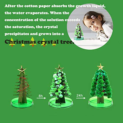 Kasien Paper Tree Flowering Toy Magic Growing Paper Christmas Tree Creative Birthday Gift Educational Novelty Games Toy Holiday Decoration