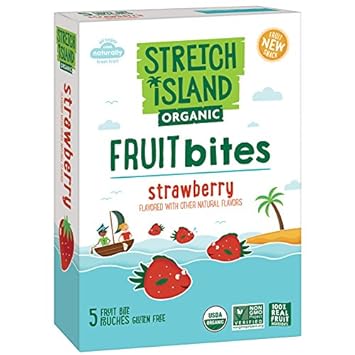 Stretch Island Organic Fruit Bites, Strawberry