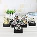 AblueA Magnetic Sculpture Desk Toy Coffee Table Piece As Office Gift Stocking Stuffer (Square Base - Fish)
