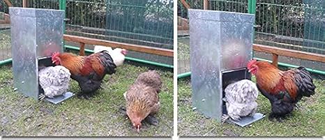 Mangeoire Poule Fait Maison La Mangeoire Blog De Poulailler Maison