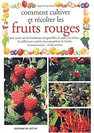 Comment cultiver et récolter les fruits rouges