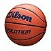 Wilson Evolution Indoor Game Basketball