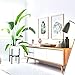 Fox & Fern Adjustable Plant Stand Indoor — 8 to 12 Inch Premium Mid Century Bamboo Plant Stand with Adjustable Width; Plug In Design; Easy to Assemble; Two Heights - For 8, 9, 10, 11 & 12 Inch Pots