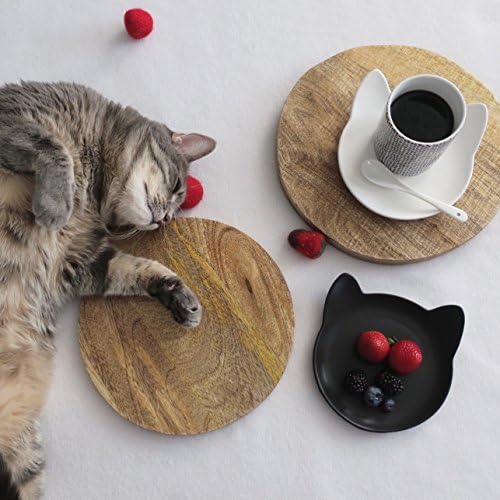 ViviPet Ceramic Hand Crafted Bowls for Pet