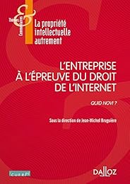 L' entreprise à l'épreuve du droit de l'internet