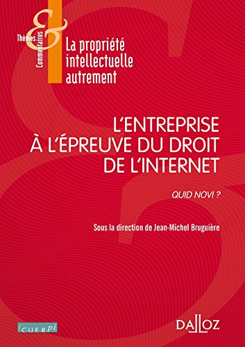 L' entreprise à l'épreuve du droit de l'internet