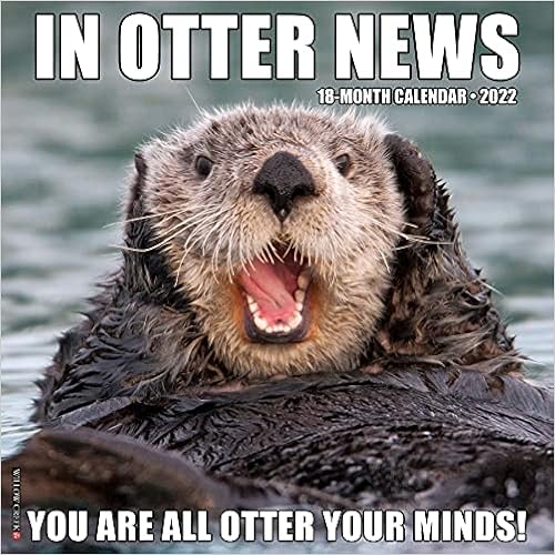 In Otter News 2022 Wall Calendar: Willow Creek Press: 9781549218453: Amazon.com: Books