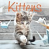 2017 Kittens Mini Calendar by 
