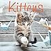 2017 Kittens Mini Calendar by 