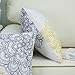 CaliTime Pack of 2 Cozy Fleece Throw Pillow Cases Covers for Couch Bed Sofa Vintage Dahlia Floral Both Sides 18 X 18 Inches Yellow Grey