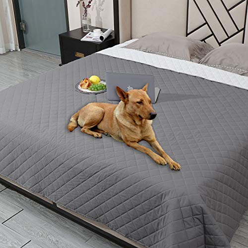 dog couch pad