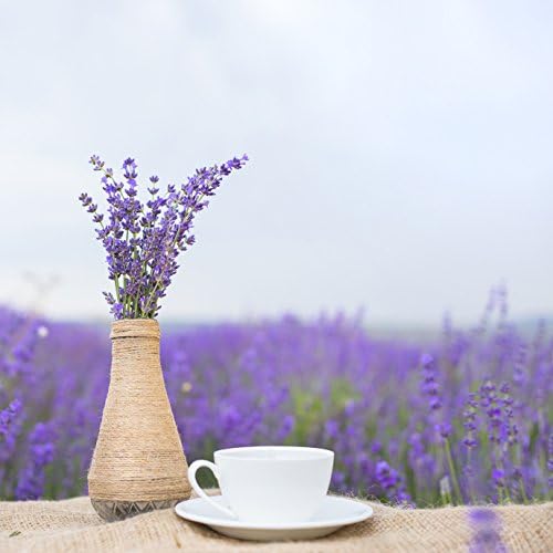 Revitalizing Facial Lift Sampler Pack -:- Exfoliate & Condition Your Skin + Revitalize Your Mood