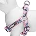 Blueberry Pet 2 Patterns Soft & Comfy Step-in Rose Flower Prints Girly Padded Dog Harness, Chest Girth 20