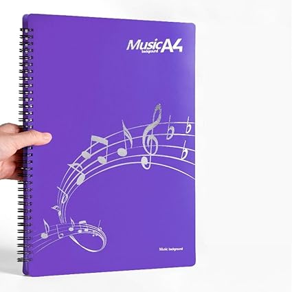 La Carpeta De VisualizacióN A4 20/30 Bolsillo Se Puede Modificar ...